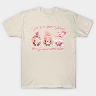 Bunco Friends Gnomes Bunco Gnomies T-Shirt